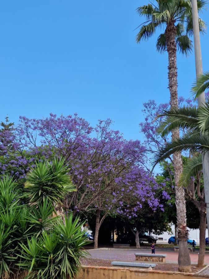 "Vero Vijola" In Torrevieja Kültér fotó