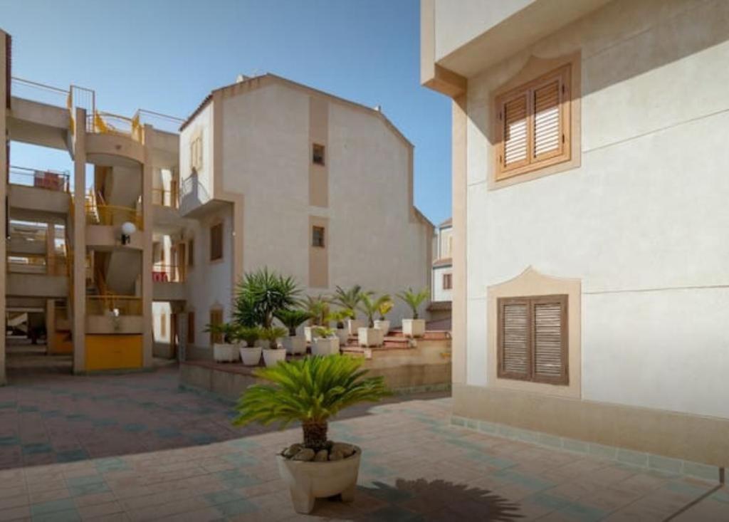 "Vero Vijola" In Torrevieja Kültér fotó