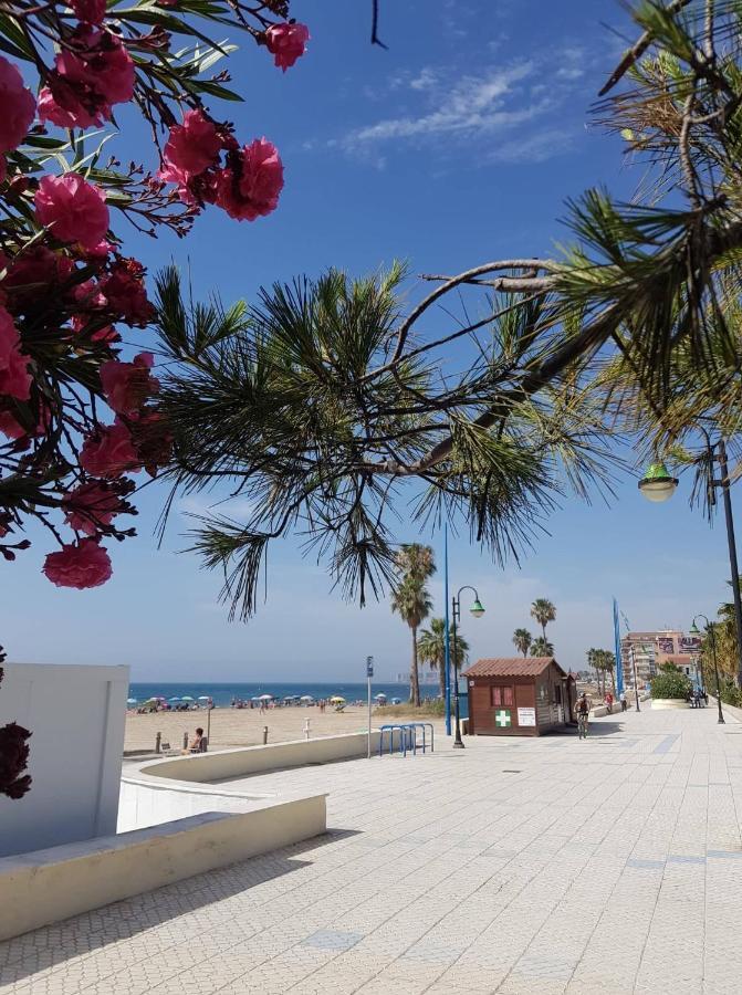 "Vero Vijola" In Torrevieja Kültér fotó