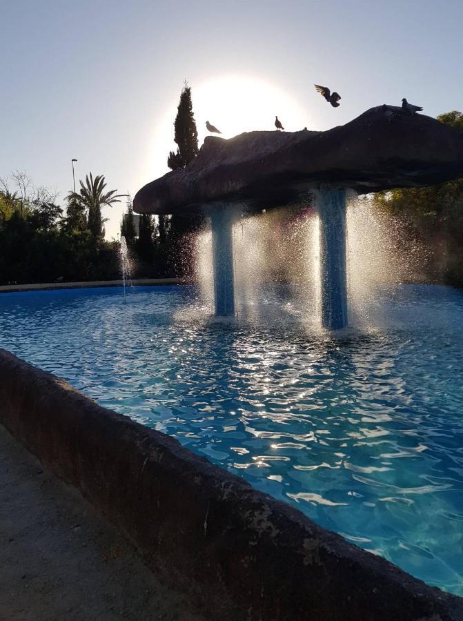"Vero Vijola" In Torrevieja Kültér fotó